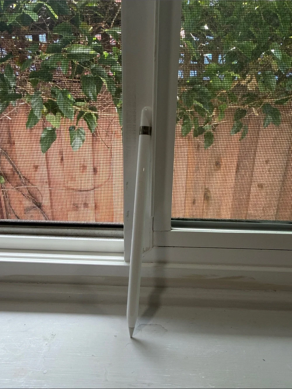 Apple Pencil in White